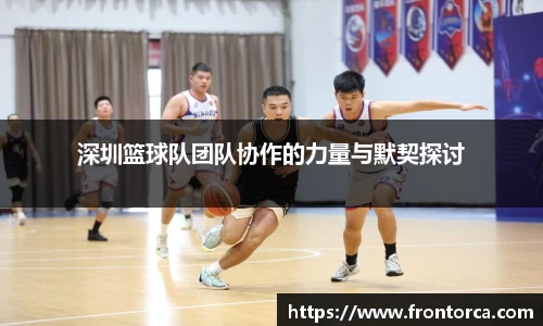 天博体育官网入口